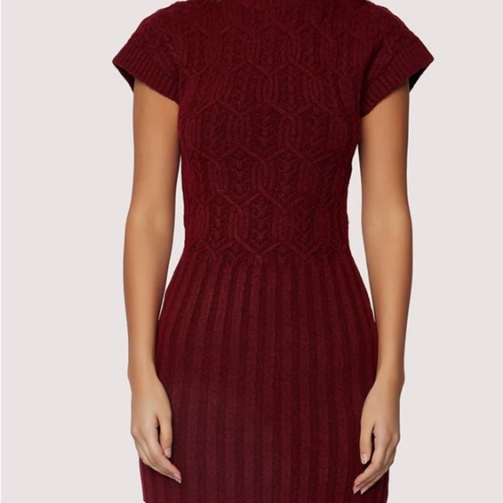 BEATRICE MINI DRESS-Burgundy NWT!! Size M/L